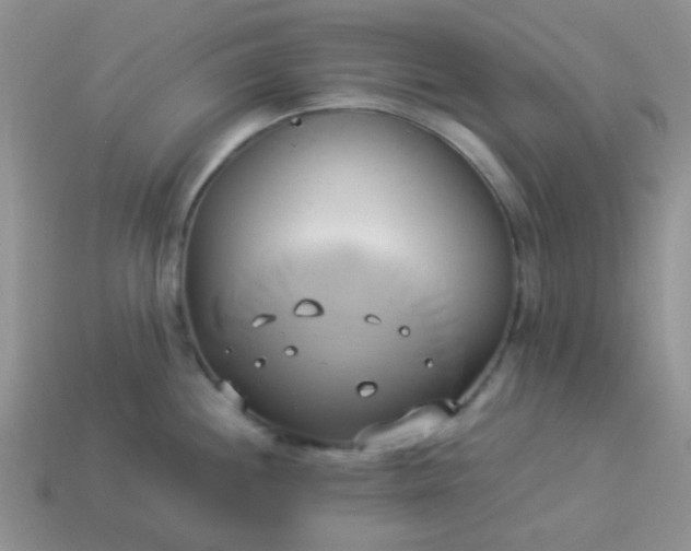 X0000114151244200910221540