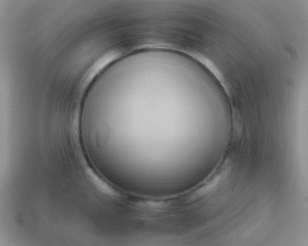 X0000114151245200910221540