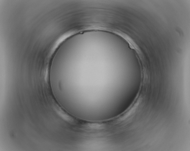 X0000114151246200910221540