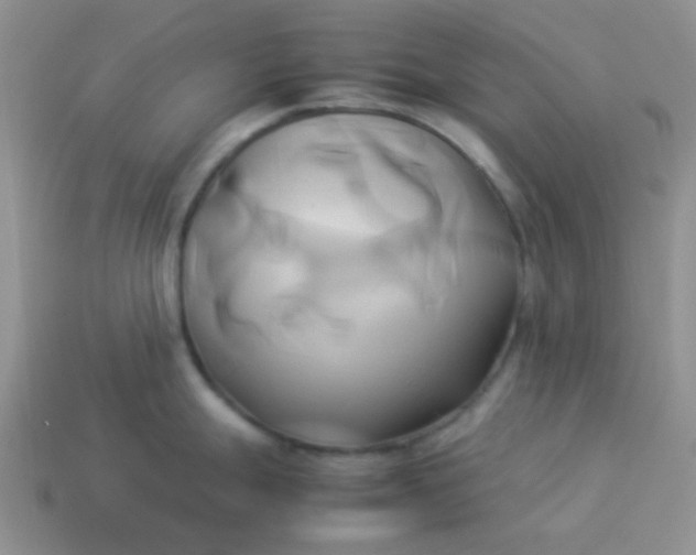 X0000114151247200910221540