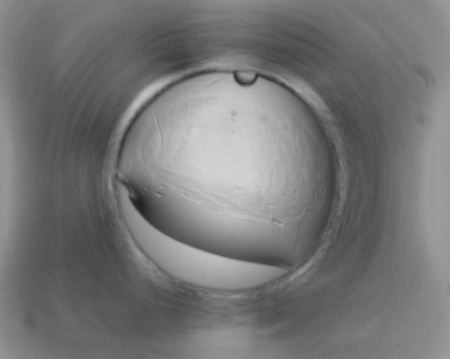 X0000114151248200910221540