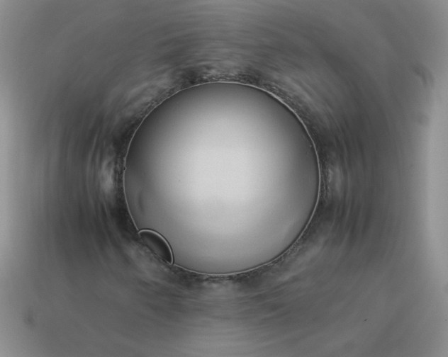 X0000114151250200910221539