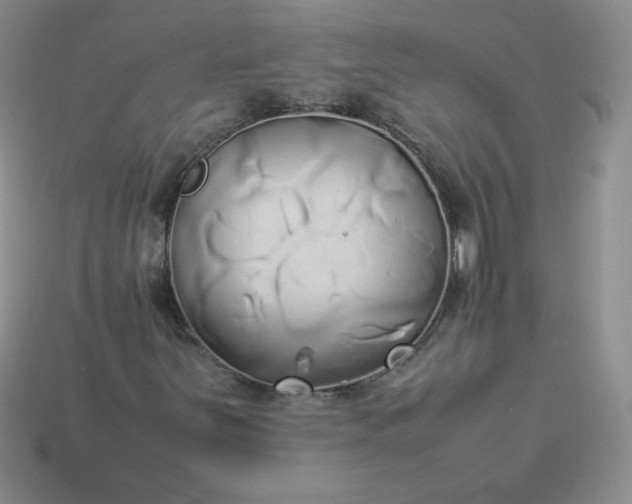 X0000114151251200910221539