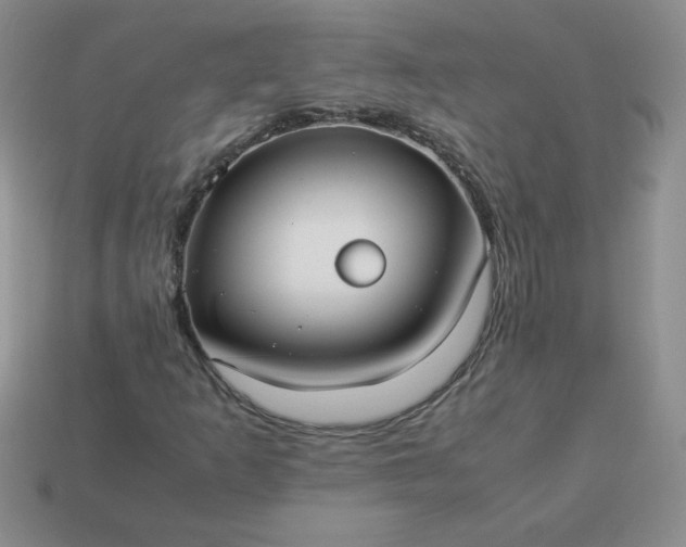 X0000114151253200910221539