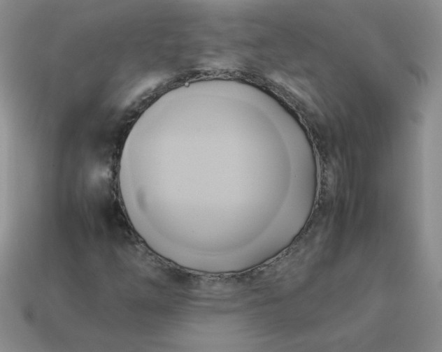 X0000114151254200910221539