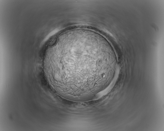 X0000114151255200910221539