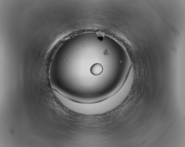 X0000114151256200910221539