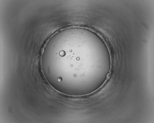 X0000114151257200910221539