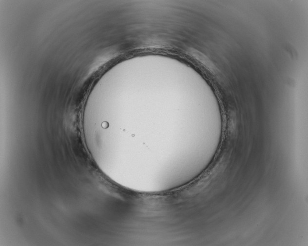 X0000114151258200910221539