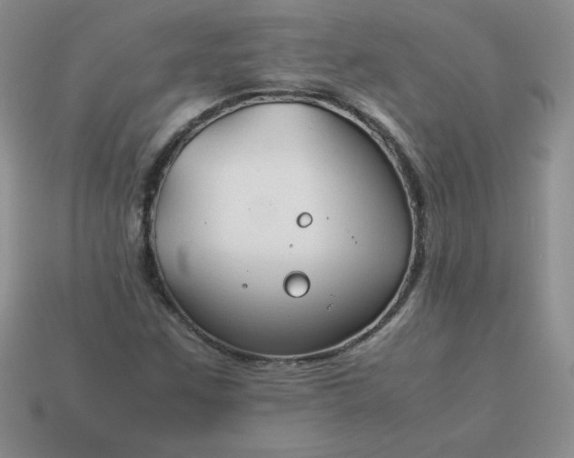 X0000114151259200910221539