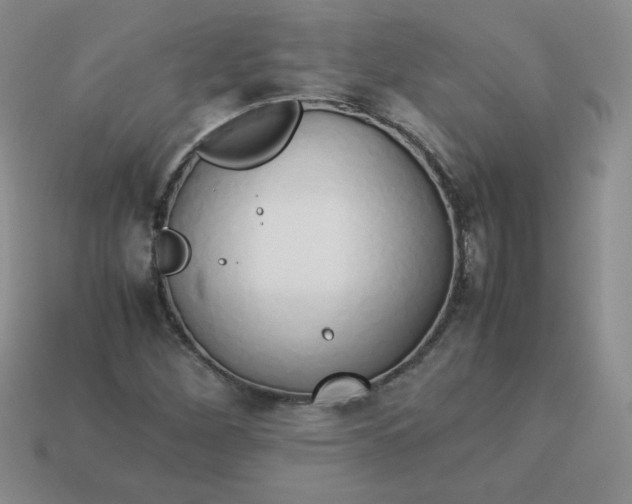 X0000114151260200910221539