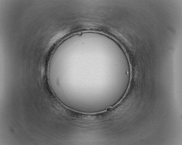 X0000114151261200910221539