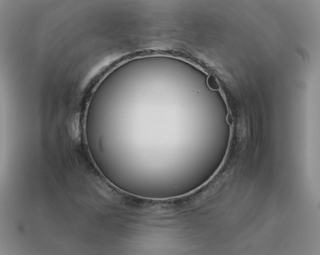 X0000114151262200910221539