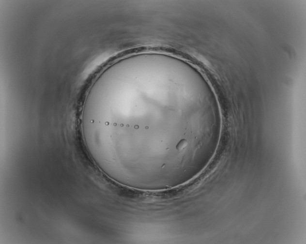 X0000114151263200910221539