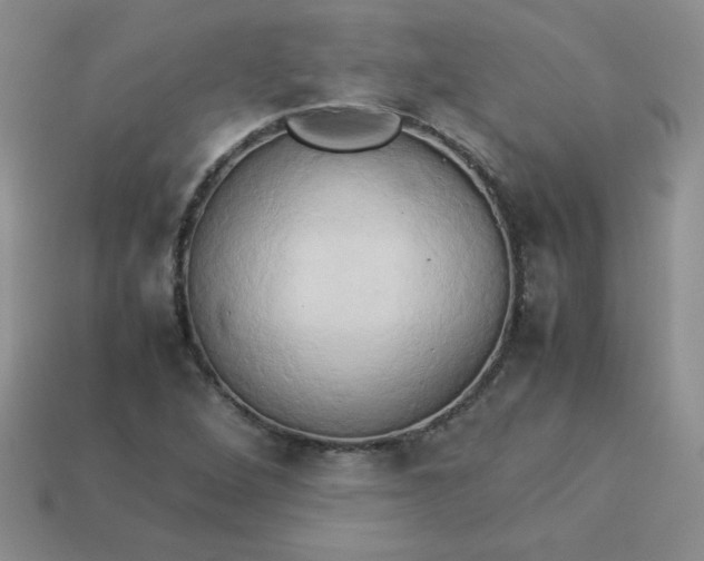 X0000114151264200910221539