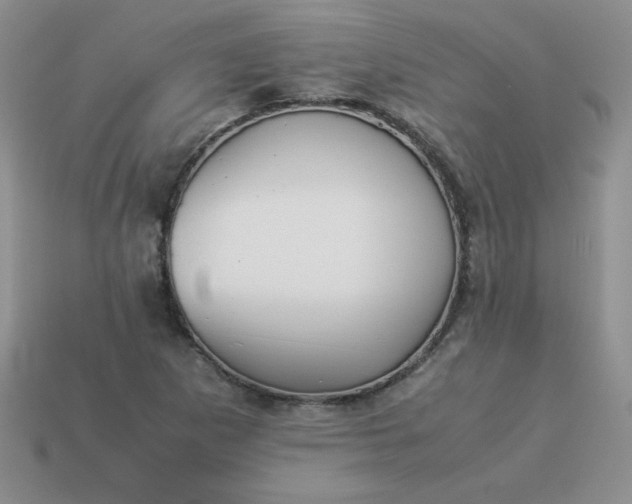 X0000114151265200910221539