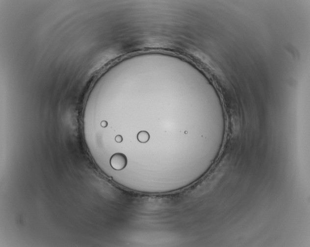 X0000114151266200910221539