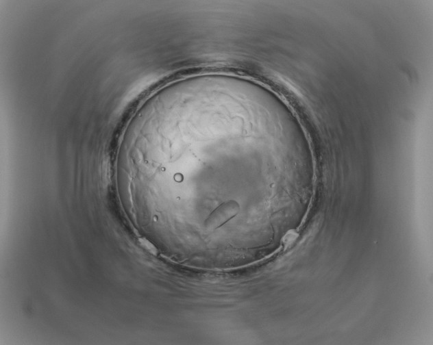 X0000114151267200910221539