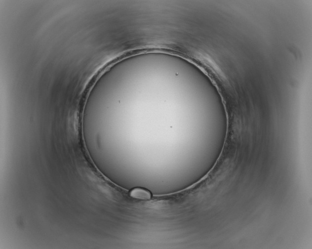 X0000114151268200910221539