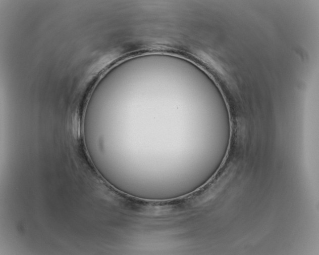 X0000114151269200910221539