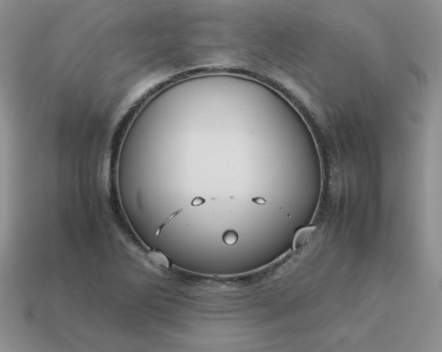 X0000114151270200910221539