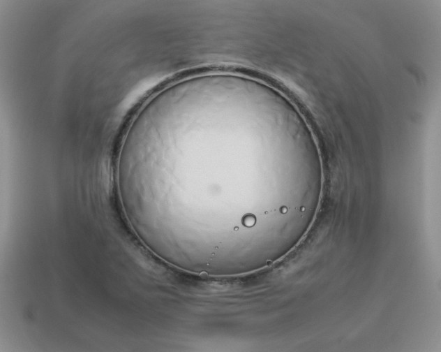 X0000114151271200910221539