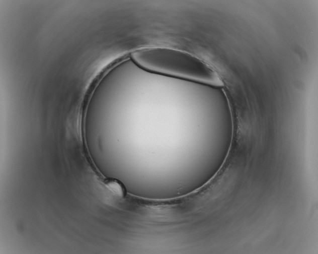 X0000114151272200910221539