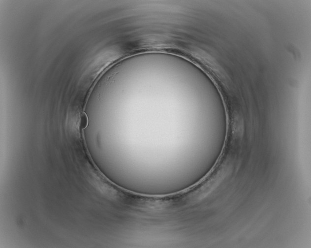 X0000114151273200910221539