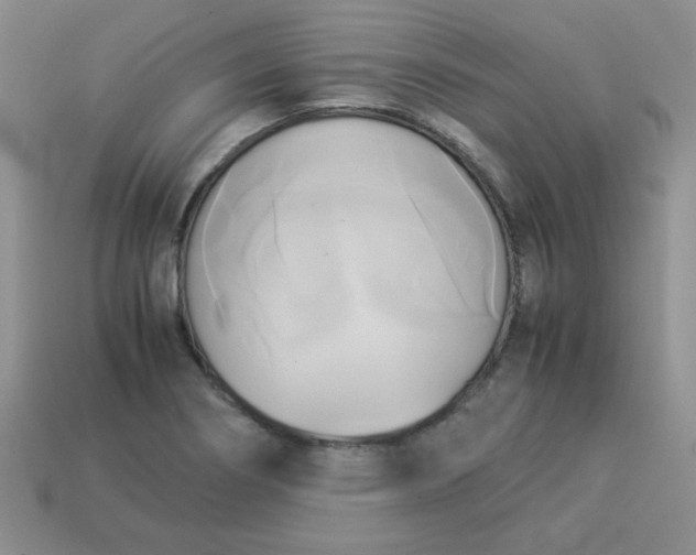 X0000114151274200910221539