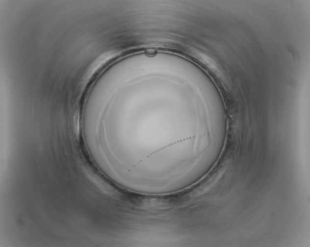 X0000114151275200910221539