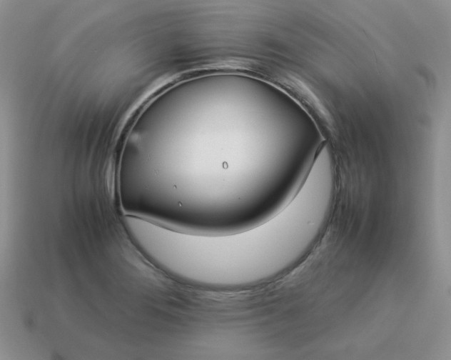 X0000114151276200910221539