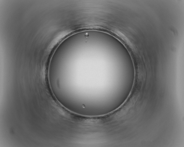 X0000114151277200910221539