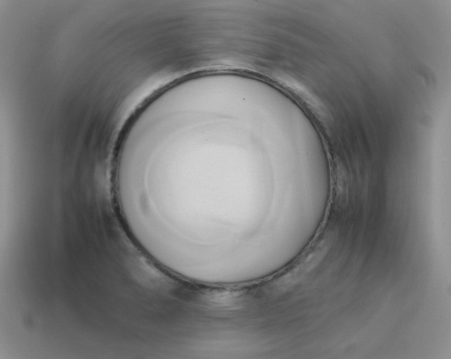 X0000114151278200910221539