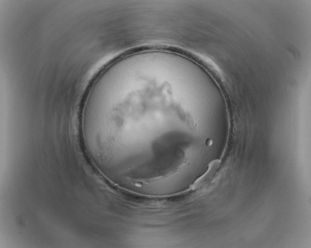 X0000114151279200910221539