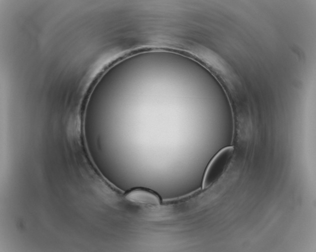 X0000114151280200910221539