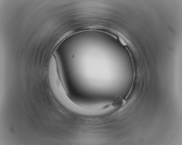 X0000114151281200910221539