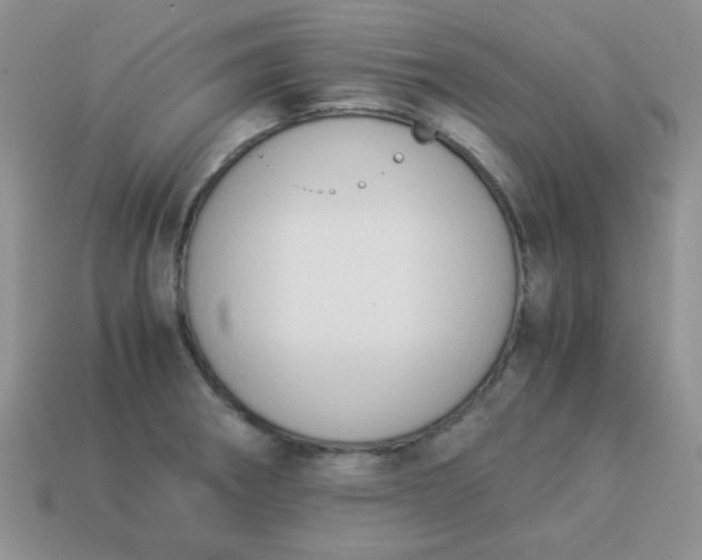 X0000114151282200910221539