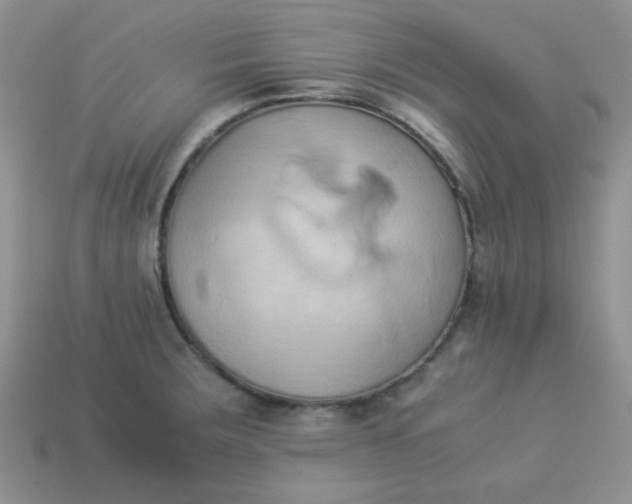 X0000114151283200910221539