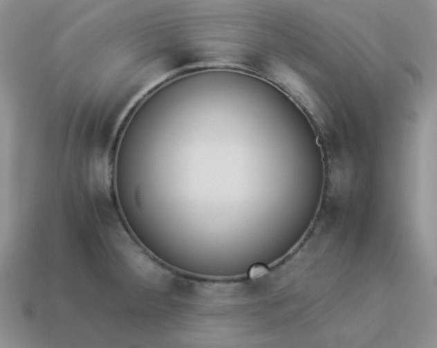 X0000114151284200910221539