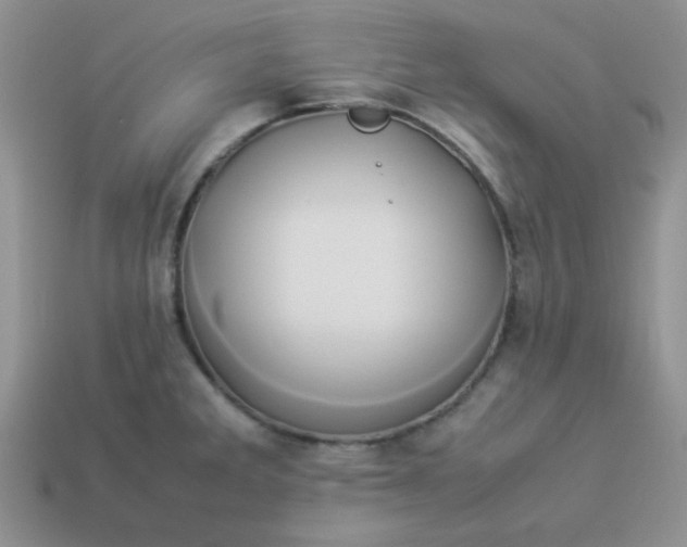 X0000114151285200910221539