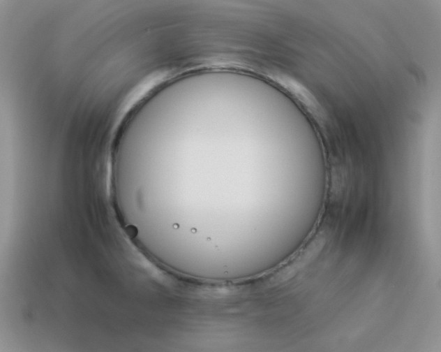 X0000114151286200910221539