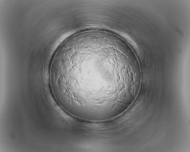 X0000114151287200910221539