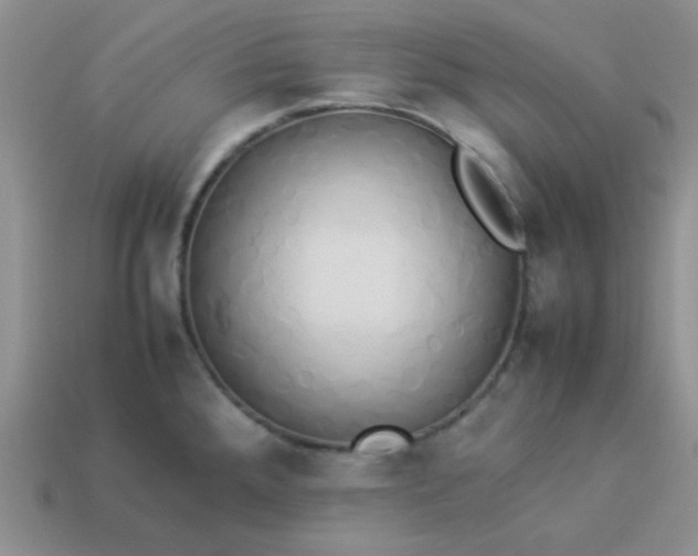 X0000114151288200910221539