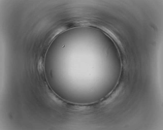 X0000114151289200910221539