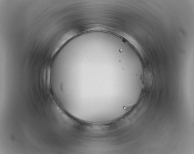 X0000114151290200910221539