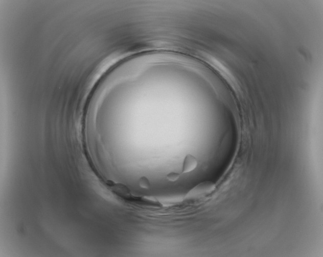 X0000114151291200910221539