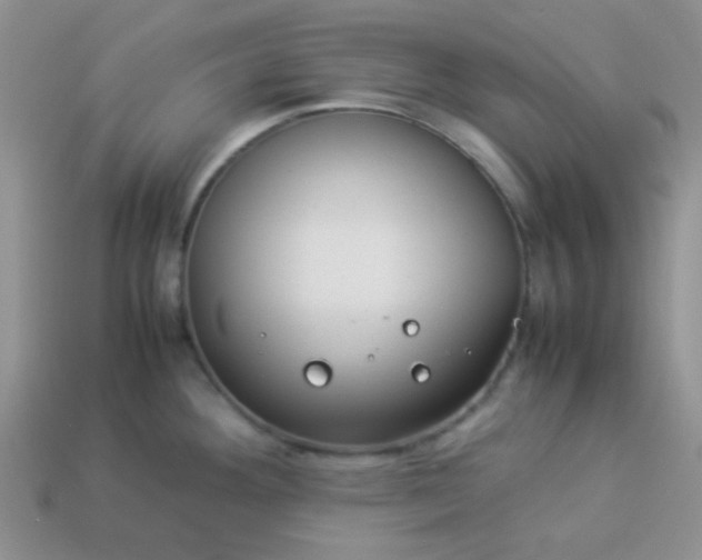 X0000114151292200910221539