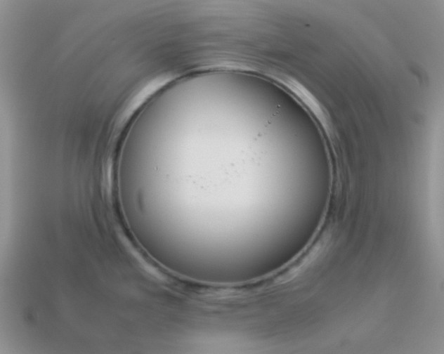 X0000114151293200910221539