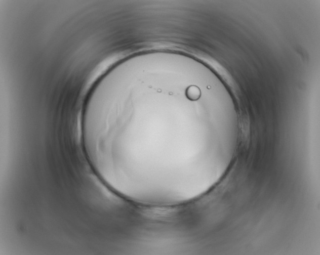 X0000114151294200910221539