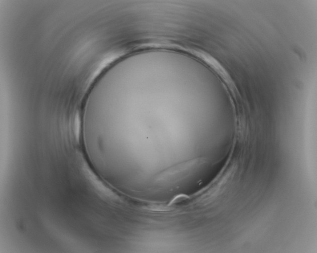 X0000114151295200910221539